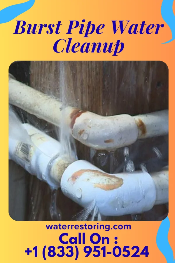 Burst Pipe Water Cleanup in East Ithaca, NY
