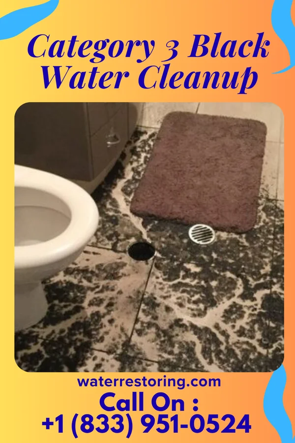 Category 3 Black Water Cleanup in East Ithaca, NY