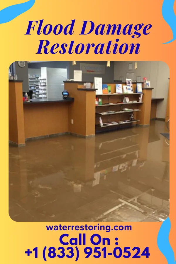 Flood Damage Restoration in East Ithaca, NY