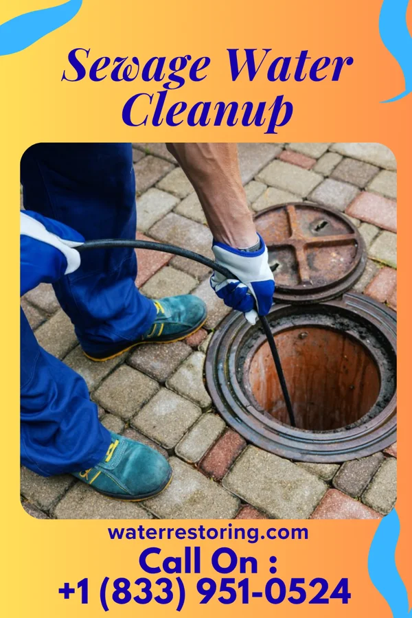 Sewage Water Cleanup in East Ithaca, NY